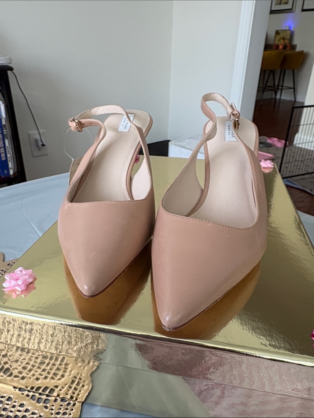 Pointed-Toe Slingback Mules in Blush